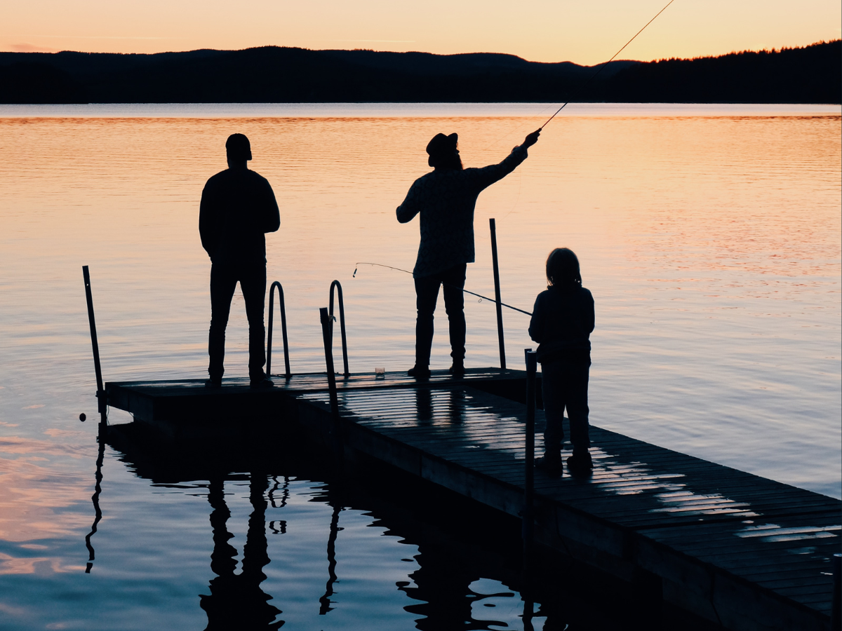 The Guide to Leslie, Michigan MCM Homes